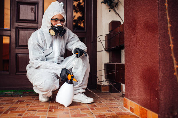 Attic and Crawl Space Rodent Treatment in Cuba City