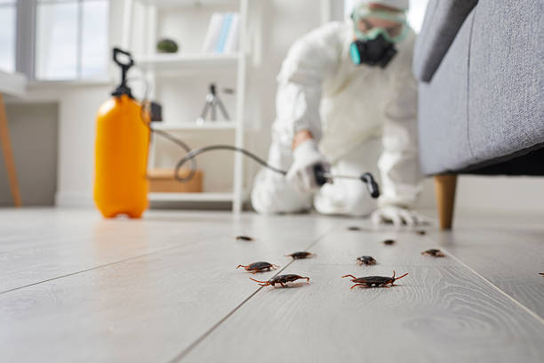 Commercial Rodent Management in Cuba City